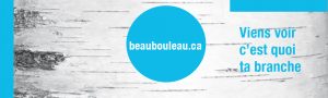 Image beaubouleau cliquable menant à la page Chercher un emploi du CISSS de l'Outaouais.